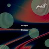 Process - Araqell