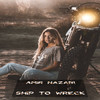 Ship to Wreck - Amir Nazari