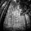 Point Of No Return - Boxia&Neil Mason