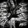 MELODIA BIONICO (Explicit) - Dj brutos 77