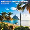 HIGHER VIBRATIONS - Suave Lee