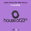 Irresistible (feat. Aldo Vanucci) (Club Mix) - Jochen Simms&Aldo Vanucci
