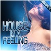 Aphrodisiac (Hard Rock Sofa, Ivan Roudyk, Lt Freak Club Mix) - DJ Ivan Roudyk&Shena