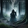 Gods Falling Down - Black Spider
