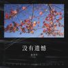 没有遗憾 - 赵诗丹