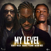 My Level (Explicit) - Bounty Killer&Kabaka Pyramid&Nation Boss