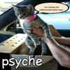 psyche (feat. icemop) (Explicit) - catboycatastrophe&icemop