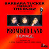 Promised Land (Homage) (Micky More & Andy Tee Dubstrumental) - The BCrew&Barbara Tucker&Micky Moore&Andy Tee