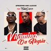 Vitamina da Alegria (feat. Fabio Dance) - AfroZone&Lilocox&Fábio Dance