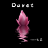 Duvet (1.1x) - Slow先森