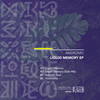 Liquid Memory (Dub Mix) - Andromo