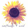 Sunflowers & Wood - Tony Moss