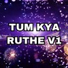 Tum Kya Ruthe V1 - Shomu Seal