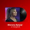 U largove - Blerona Bytyqi