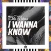 I Wanna Know (Radio Edit) - Molothav