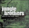 Bounce - Jungle Brothers