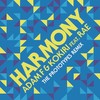 Harmony (Remix) - The Prototypes&Adam F&Rae&吴尐少