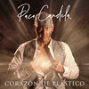 Corazón de Plástico - Paco Candela&Gonzalo Hermida