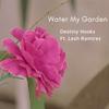 Water My Garden (feat. Lesh Ramirez) - Destiny Hooks&Lesh Ramírez