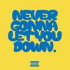 Never Gonna Let You Down - Janis Carmelo&Junior Roy