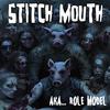 Intro (Self Esteem) (Explicit) - Stitch Mouth