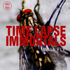 Wall Fly - Time lapse Immortals&Dirtsounds