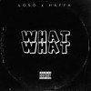 What What (Explicit) - Loso&Haffa