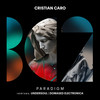 Paradigm (UnderSoul Remix) - Cristian Caro&UnderSoul