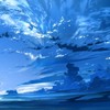 忘れじの言の葉 - 杪夏sumika&兔子ST