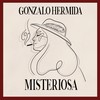 Misteriosa - Gonzalo Hermida