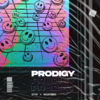 Prodigy (Extended Mix) - STVW&Mountblaq