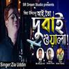 Dubaiwala - Zia Uddin