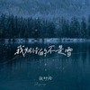 我期待的不是雪 (而是有你的冬天) (DJ 墨韩Mix版) - 张妙格&DJ墨韩