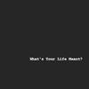 What's Your Life Meant? (feat. TTG) - Adam Outlnd&Ttg