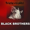 Triste Réalité - Black Brothers