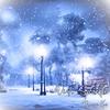 Winter Sparkle - Dennis Kuo