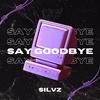 Say Goodbye - Silvz
