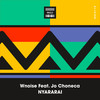 Nyararai - Wnoise&Jo Choneca