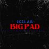 Big Pad (feat. Trixta Savage) (Explicit) - IceLab&Trixta Savage