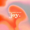 Joy - Sarah Elisabeth&His-Story
