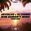 She Doesn't Mind - dEVOLVE&DJ Chino