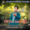 Dil Khs Genday - Meer Nadir Ali