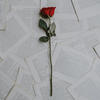 Sugarcoated Love (feat. Austin) - Rose Bennett&Austin