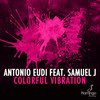 Colorful Vibration (DJ PP Remix) - Antonio Eudi&Samuel J