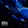 Remember (Viewer Remix) - Blue Orchid&Viewer