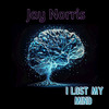 I Lost My Mind - Jay Norris