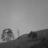 August - Avalon