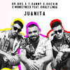 Juanita (feat. Király Linda) - DR BRS&T. Danny&Kkevin&Király Linda