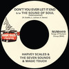 The Sound Of Soul - Harvey Scales&The Seven Sounds&Magic Touch