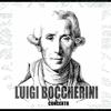 Allegro Vivace (Flute And Strings, D Major, OP 5/1) - Luigi Boccherini&Various Artists&Cuarteto de Cuerda de Lugano&Piero Calabressi